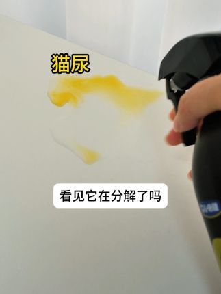艾心倍健宠物用品:养宠家庭猫咪狗狗乱尿,那就赶紧用这个#艾心倍健除臭剂 #萌宠好物 #除臭剂 #猫狗乱尿