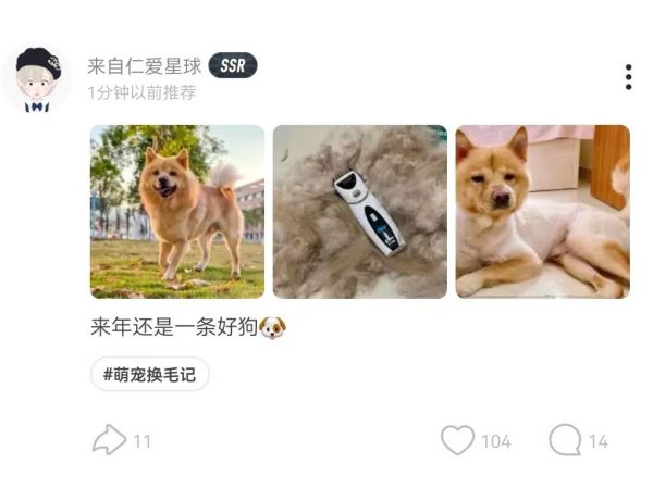 Souler晒出狗狗剃毛前后的对比趣图