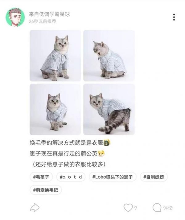 为了防止猫掉毛,有Souler给它穿上了衣服