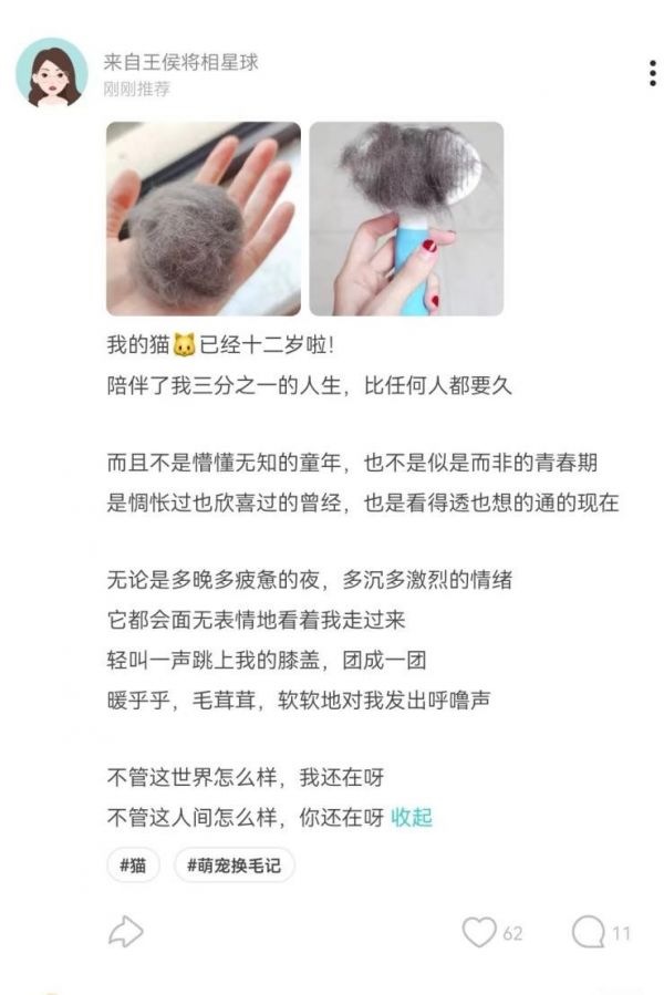 Soul上的铲屎官对萌宠的深情告白