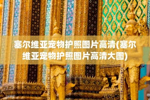 塞尔维亚宠物护照图片高清(塞尔维亚宠物护照图片高清大图)