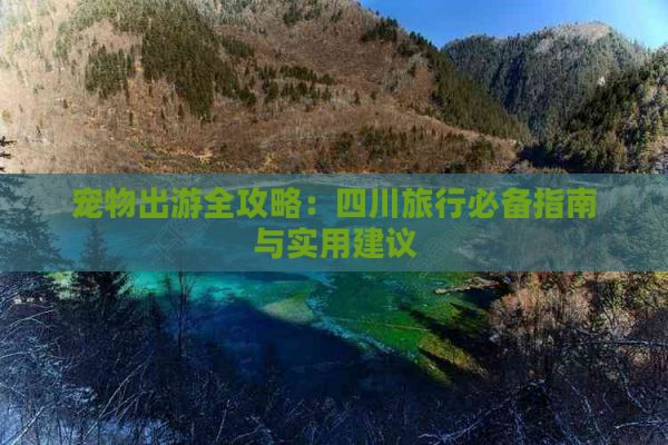 宠物出游全攻略：四川旅行必备指南与实用建议