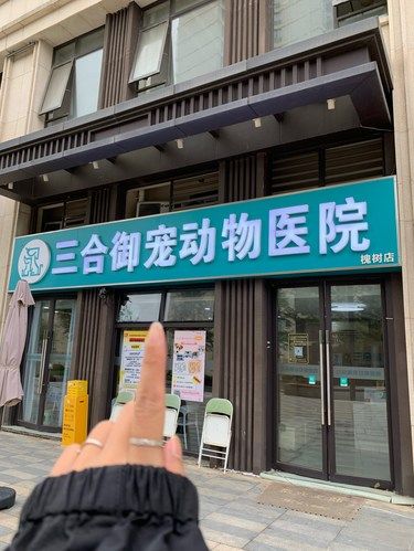 北门毛孩子家长看过来，这家宠物医院真不错