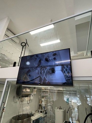 燕子矶宠物洗护必入