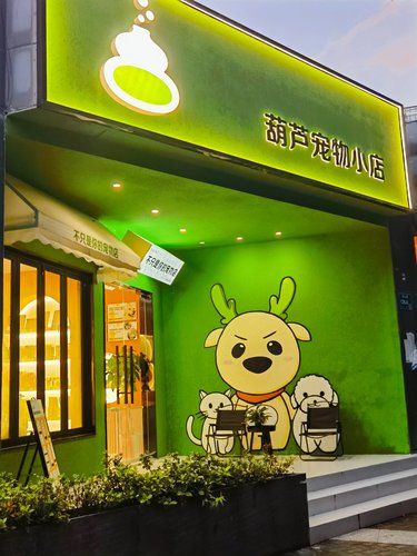 毛孩子家长集合！南京终于有靠谱的宠物店了！