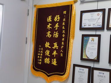 带着毛孩子体检的一天