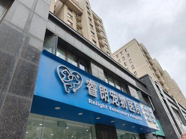 马群中垠紫金观邸沿街的睿朗宠物医院服务挺好