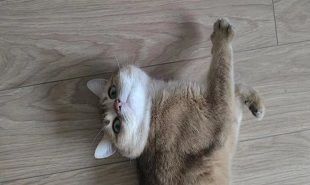 lp2lt3jw3j0p48ax1dmpz9jzmh6r8j484125.jpg