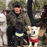 靖江有个训犬师,15min让狗乖乖听话