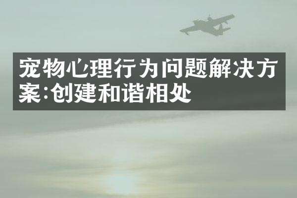 宠物心理行为问题解决方案:创建和谐相处