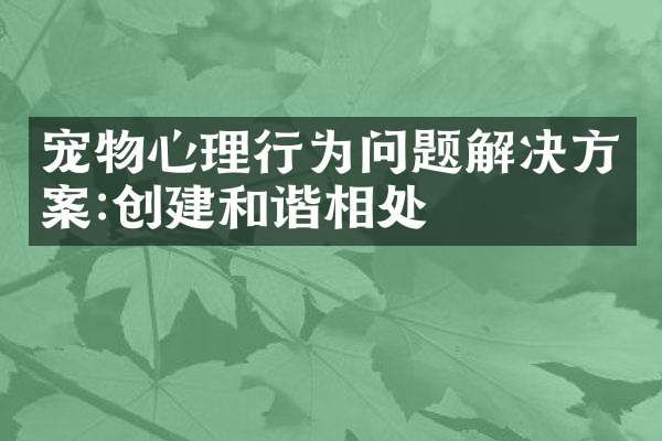 宠物心理行为问题解决方案:创建和谐相处