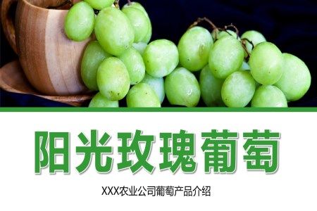 阳光玫瑰葡萄产品介绍PPT动态模板