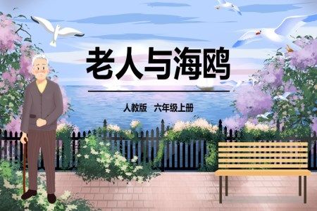 人教版六年级上册老人与海鸥PPT课件