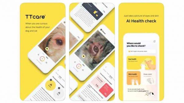 AI+宠物医疗，要变天了吗？