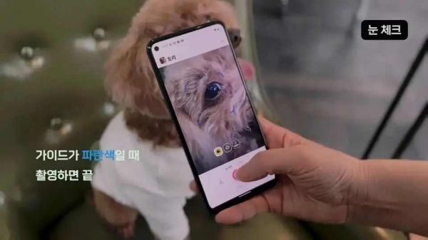 AI+宠物医疗，要变天了吗？