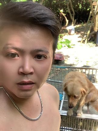 阿亮宠物:#金毛 lucky寄养第23个月啦