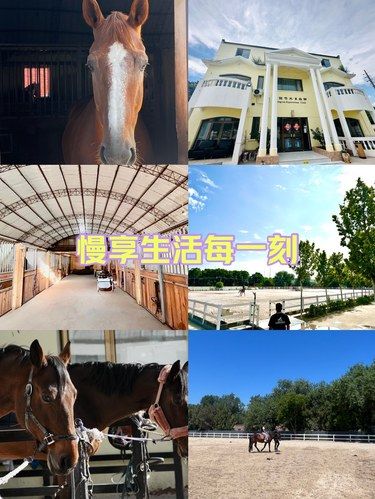 当不了小骑士，来圆我的大梦想