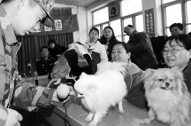 “宠物犬军训”进社区(图)