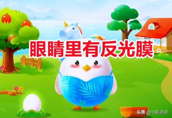 猫的眼睛在夜里闪闪发光主要是因为什么？蚂蚁庄园答案 