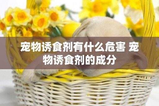 宠物诱食剂有什么危害 宠物诱食剂的成分