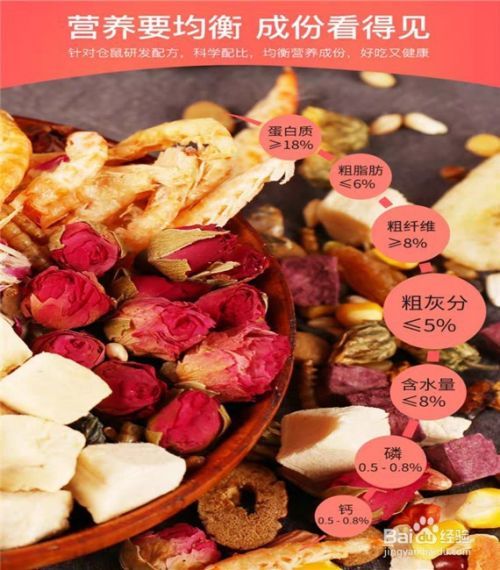 如何选购仓鼠粮食