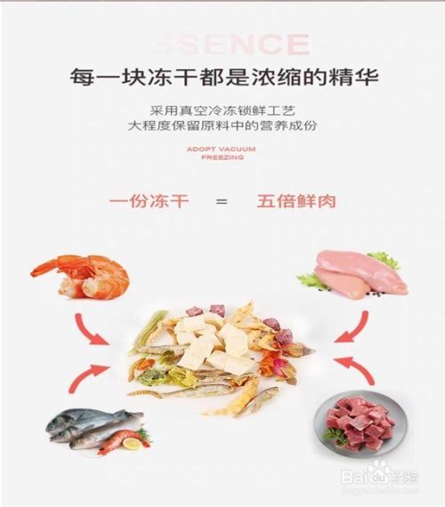 如何选购仓鼠粮食