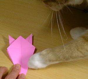 折纸猫实物图制作教程 diy猫咪折纸方法