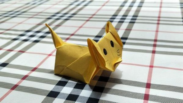 适合做亲子活动的折纸立体萌猫这个可爱的猫咪可以站立的哦