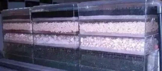 鱼缸垃圾 & 过滤棉清理方法、注意事项介绍！