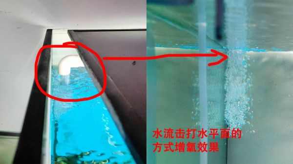 鱼缸出水口增氧教程：手把手教你如何改造