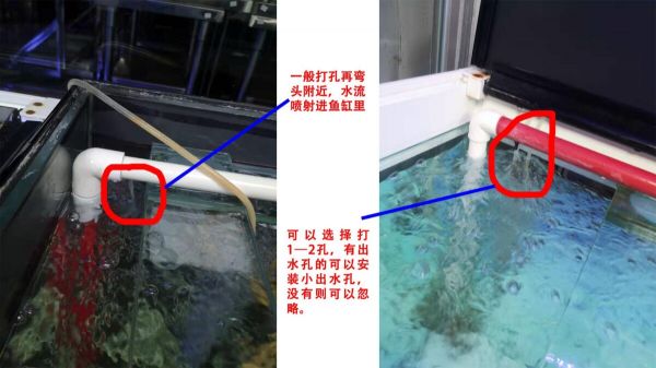 鱼缸出水口增氧教程：手把手教你如何改造
