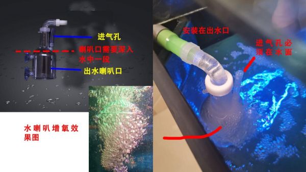 鱼缸出水口增氧教程：手把手教你如何改造