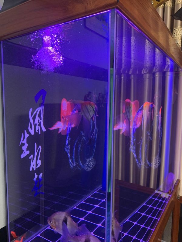 鱼缸出水口增氧教程：手把手教你如何改造