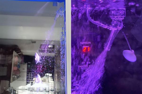 鱼缸出水口增氧教程：手把手教你如何改造