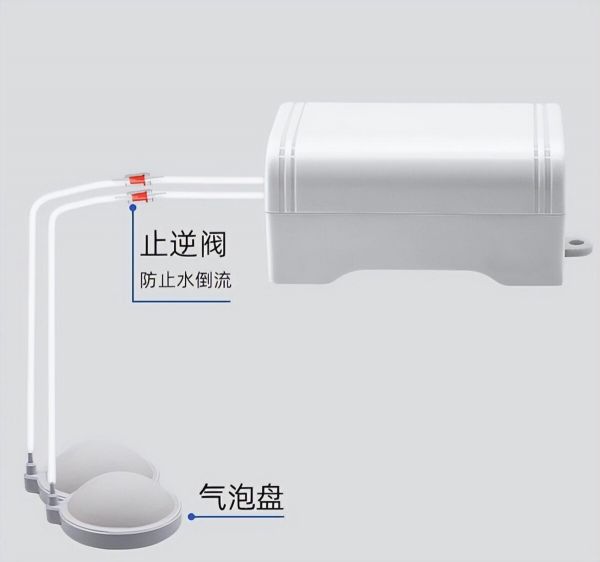 鱼缸氧气泵需要 24 小时开着吗？个人使用经验分享