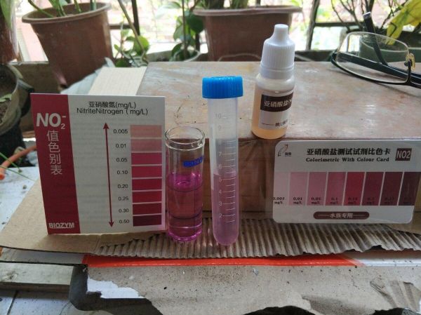 鱼缸亚硝酸盐太高怎么处理？介绍 3 种去除办法