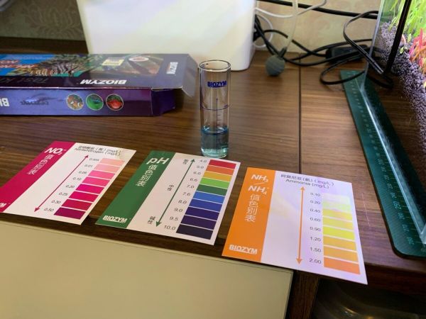 鱼缸亚硝酸盐太高怎么处理？介绍 3 种去除办法