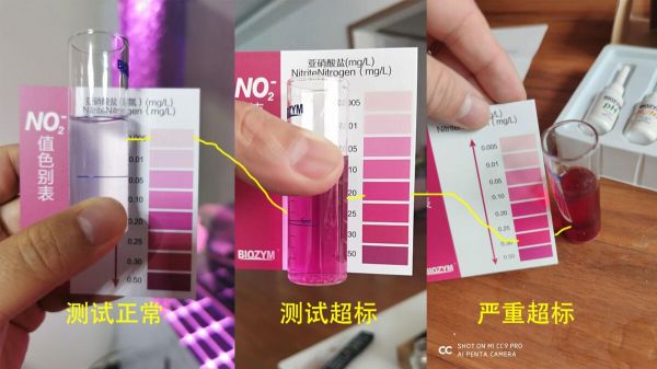 鱼缸亚硝酸盐太高怎么处理？介绍 3 种去除办法