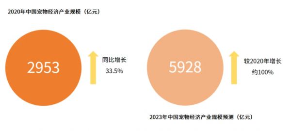 宠物服装行业发展现状