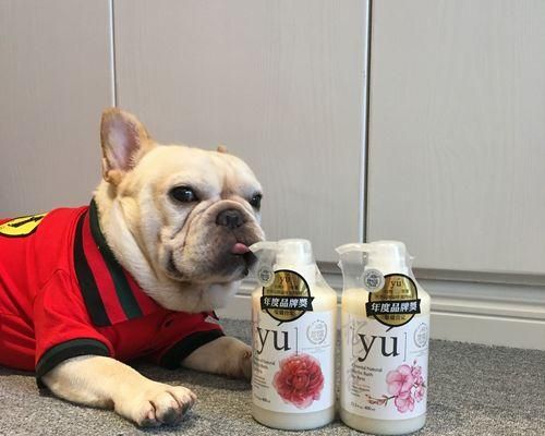 宠物狗洗澡的时间与注意事项（如何科学地为你的爱犬洗澡）