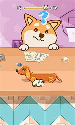 猫咪捉迷藏