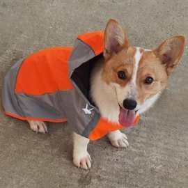 狗狗斗篷雨衣户外衣服防水大型犬狗雨衣跨境宠物用品一件代发宠物