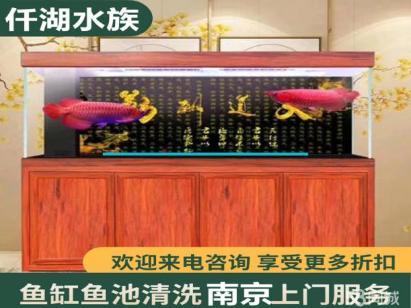 全南京上门鱼缸清洗鱼缸定做,鱼池清洗,鱼池清理,鱼缸定做,鱼缸消毒换水