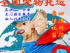 长沙宠物托运-空运当天到-陆运隔天到-正规安全放心