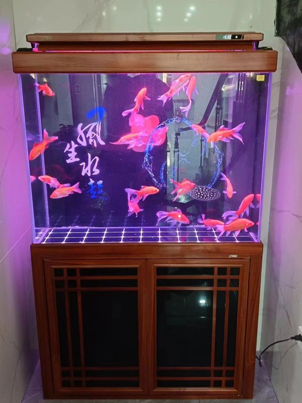 专业维修鱼缸,清洗 鱼缸用品出售 鱼缸 更换过滤芯 捞鱼缸开胶漏水