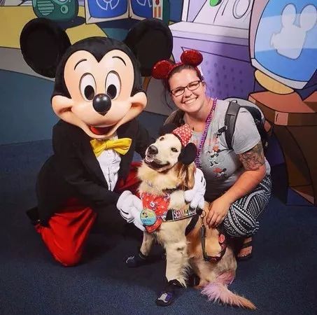 “这服务犬能摸吗？”，遭到拒绝后她暴怒，把狗狗都吓坏了！