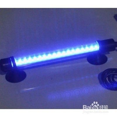 如何方便高效的清洁大鱼缸