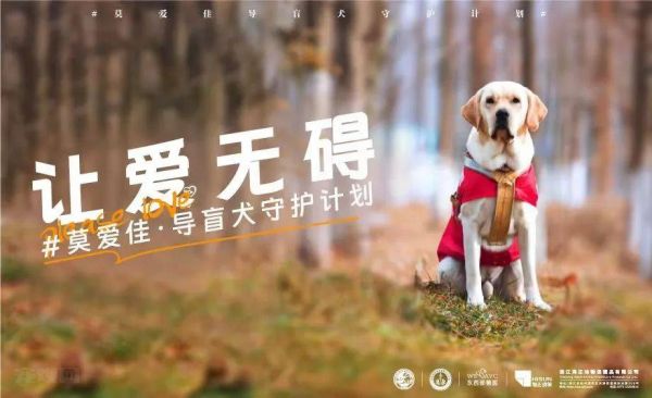 海正动保发起“让爱无碍——莫爱佳·导盲犬守护计划”