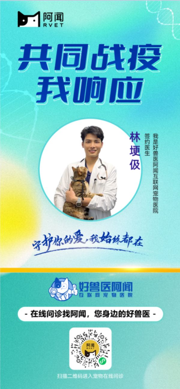 宠物在线问诊