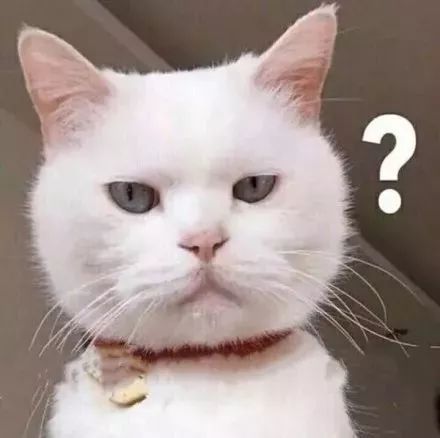 猫咪身上常见的寄生虫有哪些？如何正确驱虫？铲屎官别再做无用功 